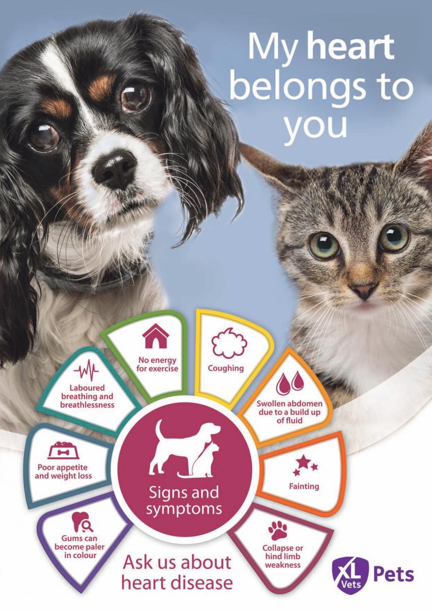 Educating Clients Poster