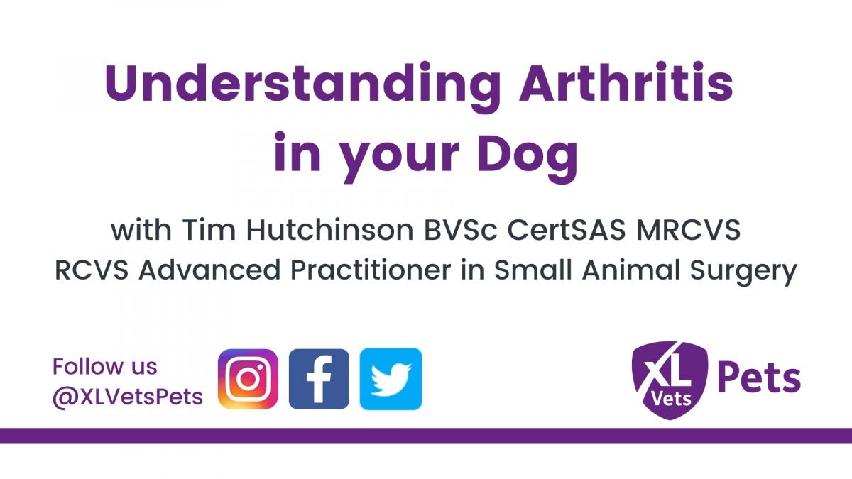 First Aid for your Pet Educational Webinar